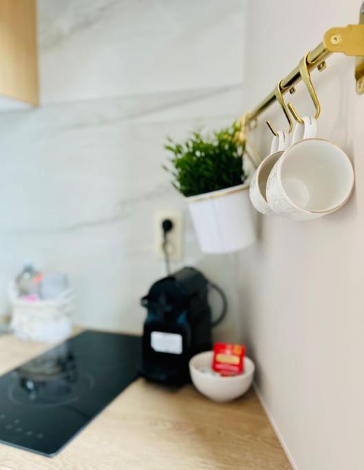 Charmant Petit Appartement. Liege Luaran gambar