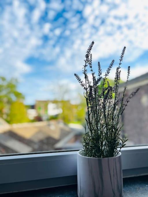 Charmant Petit Appartement. Liege Luaran gambar