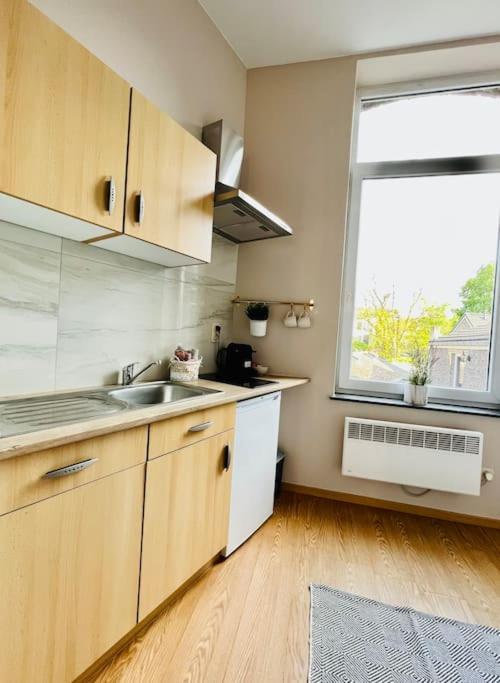 Charmant Petit Appartement. Liege Luaran gambar