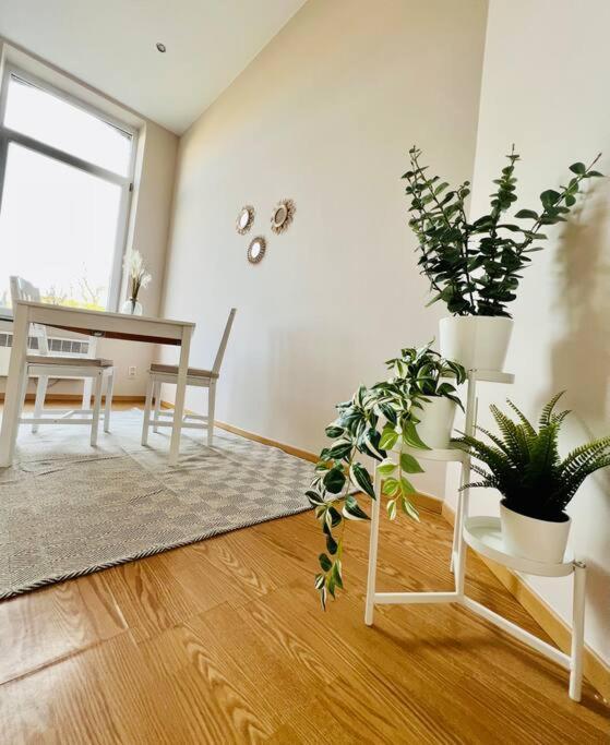 Charmant Petit Appartement. Liege Luaran gambar